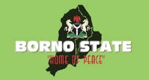 Borno Govt. Reaction Against The Statement Credited To Northern Christian Association Of Nigeria On Chibok Abduction – NewsRescue.com