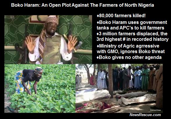 Borno Falls: Boko Haram North Devastation Agenda In Full Steam Now Ahead of 2015 – Says Cham – NewsRescue.com