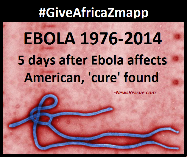 Bio-warfare Fear: Guinea Community Kills Foreign Health Team – NewsRescue.com