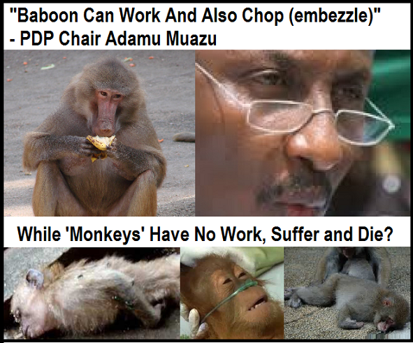 The Best Monkey: 6-Year President Jonathan ‘Proves’ He is ‘Fit’ To Rule Nigeria For 4 More Years – NewsRescue.com