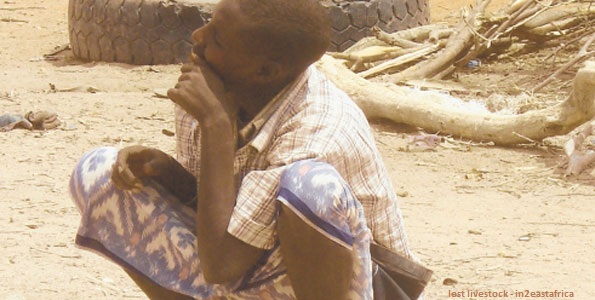 Are The Fulani Victims?