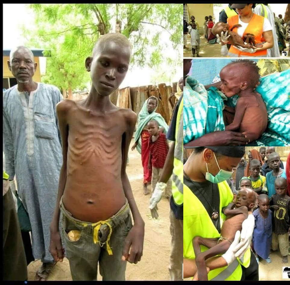 Borno: IDPs Protest Starvation, Looting, Lack Of Food From Government