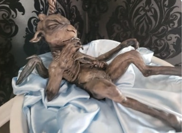 Baphomet Baby Statue Installed at Illinois State Capitol by Satanic Temple